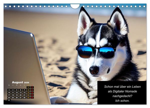 Produktbild: Der tierisch lustige Husky Kalender (Wandkalender 2026 DIN A4 quer), CALVENDO Monatskalender