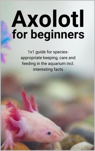 Produktbild: Axolotl for beginners