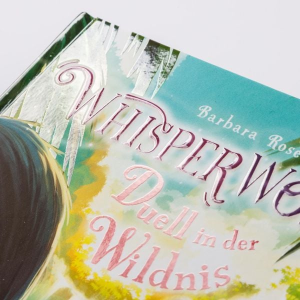 Produktbild: Whisperworld 7: Duell in der Wildnis