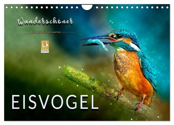 Wunderschöner Eisvogel (Wandkalender 2026 DIN A4 quer), CALVENDO Monatskalender