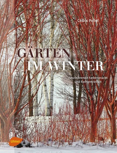 Produktbild: G&auml;rten im Winter