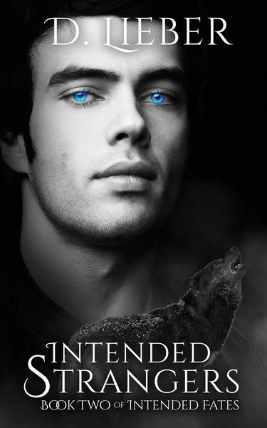 Produktbild: Intended Strangers