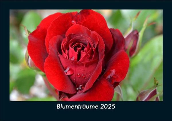Produktbild: Blumentr&auml;ume 2025 Fotokalender DIN A5