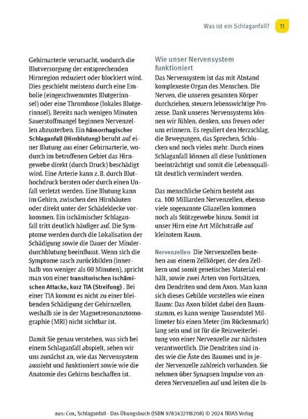 Produktbild: Schlaganfall - Das &Uuml;bungsbuch