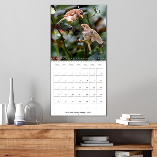 Produktbild: The Wild Sparrow Gang (Wall Calendar 2026 12 &times; 12 Inch) CALVENDO 12 Month Wall Calendar