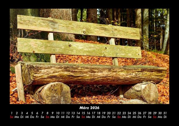 Produktbild: Waldzauber 2026 Fotokalender DIN A3