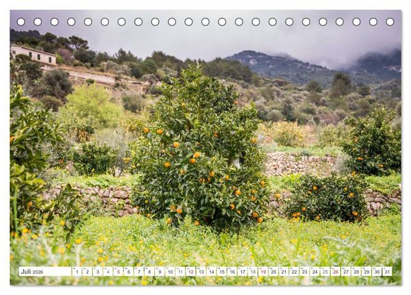 Produktbild: Emotionale Momente: Orangen & Zitronen. (Tischkalender 2026 DIN A5 quer), CALVENDO Monatskalender