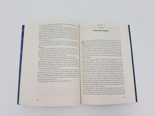 Produktbild: Das Rad der Zeit 8