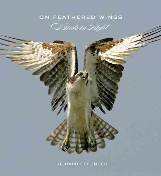 Produktbild: On Feathered Wings