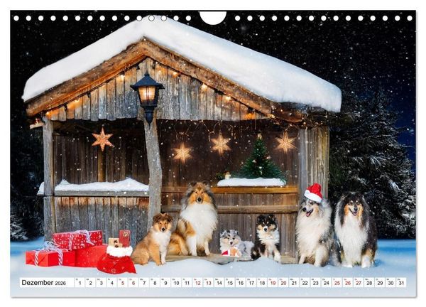 Produktbild: Traumhund Collie - Mein bester Freund (Wandkalender 2026 DIN A4 quer), CALVENDO Monatskalender