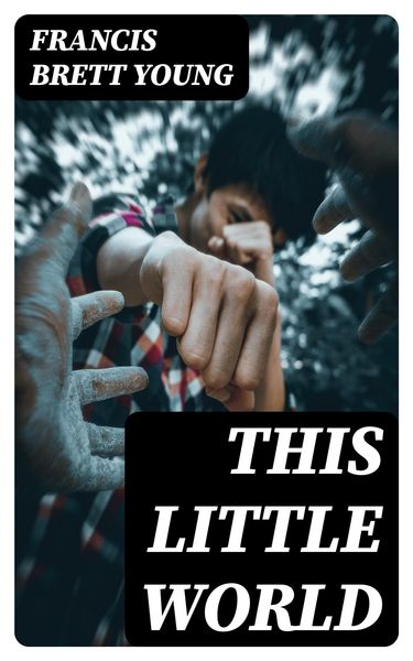 Produktbild: This Little World