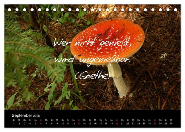 Produktbild: Positiv durch&acute;s Jahr (Tischkalender 2026 DIN A5 quer), CALVENDO Monatskalender