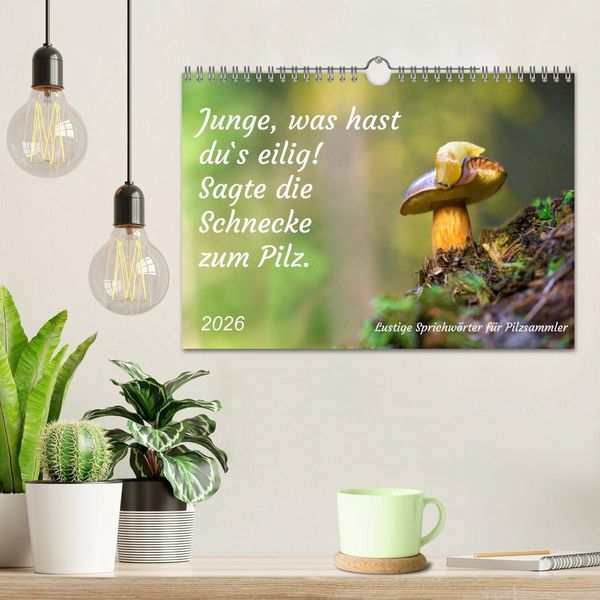Produktbild: Junge, was hast du`s eilig (Wandkalender 2026 DIN A4 quer), CALVENDO Monatskalender