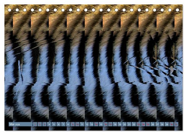 Produktbild: Magische Bilder - fantastische Stereogramme (Tischkalender 2026 DIN A5 quer), CALVENDO Monatskalender