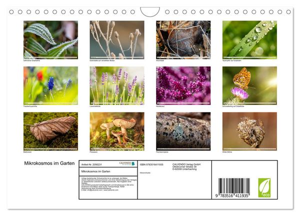 Produktbild: Mikrokosmos im Garten (Wandkalender 2026 DIN A4 quer), CALVENDO Monatskalender