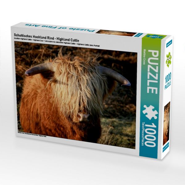 Produktbild: CALVENDO Puzzle Schottisches Hochland Rind - Highland Cattle 1000 Teile Puzzle quer | 1000 Teile Lege-Gr&ouml;&szlig;e 64 &times; 48 cm Foto-Puzzle f&uuml;r gl&uuml;ckliche Stunden