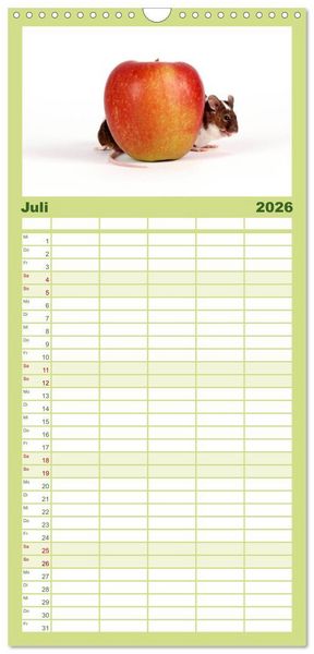 Produktbild: Familienplaner 2026 - S&uuml;&szlig;e M&auml;use und Coole Ratten mit 5 Spalten (Wandkalender, 21 x 45 cm) CALVENDO