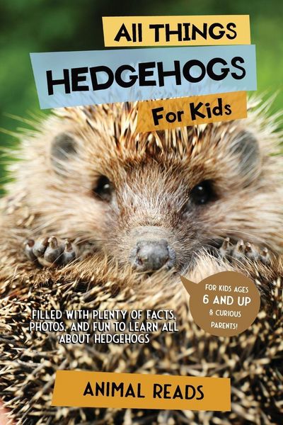 Produktbild: All Things Hedgehogs For Kids