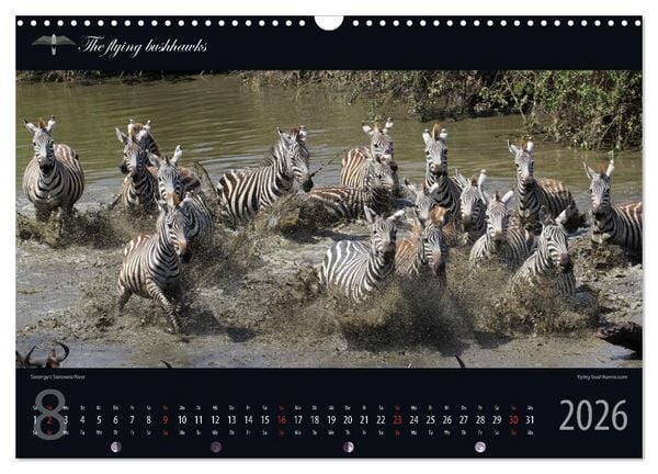 Produktbild: Tansania Blickwinkel 2026 (Wandkalender 2026 DIN A3 quer), CALVENDO Monatskalender