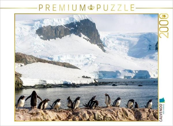 CALVENDO Puzzle Pinguin Kolonie im Naturparadies Antarktis | 2000 Teile Lege-Größe 90x67cm Foto-Puzzle für glückliche Stunden
