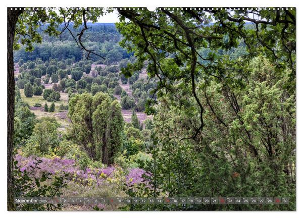 Produktbild: Die L&uuml;neburger Heide - In voller Bl&uuml;te (hochwertiger Premium Wandkalender 2026 DIN A2 quer), Kunstdruck in Hochglanz