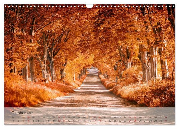 Produktbild: Insel R&uuml;gen und Hiddensee (Wandkalender 2026 DIN A3 quer), CALVENDO Monatskalender