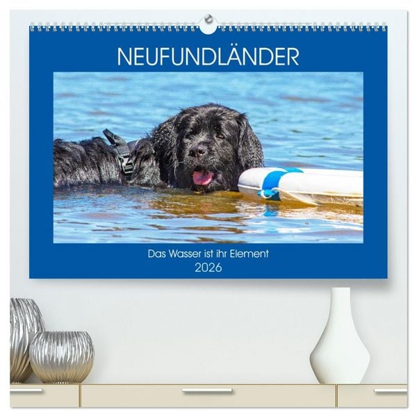 Produktbild: Neufundl&auml;nder - Das Wasser ist ihr Element (hochwertiger Premium Wandkalender 2026 DIN A2 quer), Kunstdruck in Hochglanz
