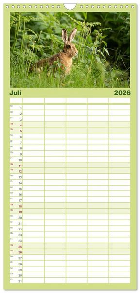 Produktbild: Familienplaner 2026 - Feldhasen unterwegs in Wald und Flur mit 5 Spalten (Wandkalender, 21 x 45 cm) CALVENDO