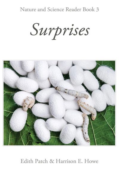 Produktbild: Surprises