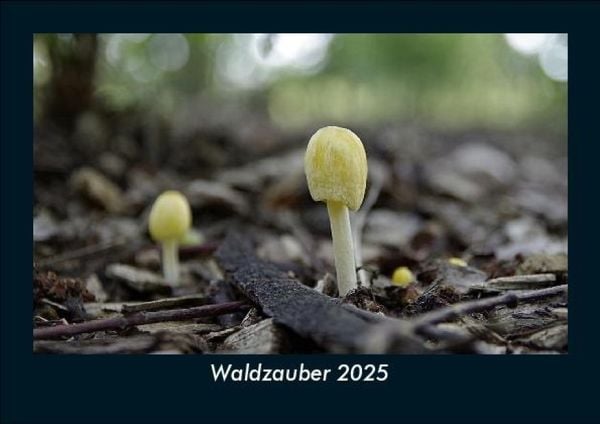 Produktbild: Waldzauber 2025 Fotokalender DIN A5