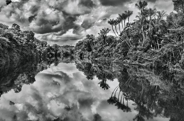 Produktbild: Amaz&ocirc;nia. Sebasti&atilde;o Salgado