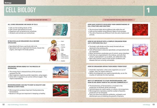 Produktbild: AQA GCSE Biology 9-1 Student Book