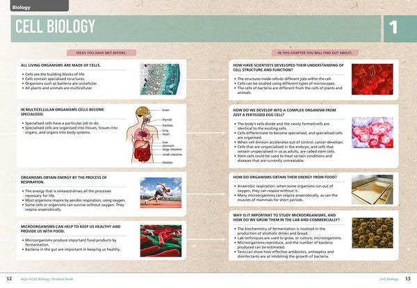 Produktbild: GCSE SCIENCE-AQA GCSE (9-1) B_