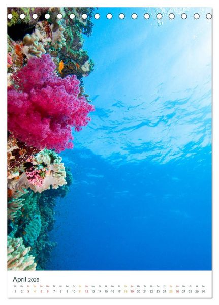 Produktbild: Unter Wasser daheim (Tischkalender 2026 DIN A5 hoch), CALVENDO Monatskalender