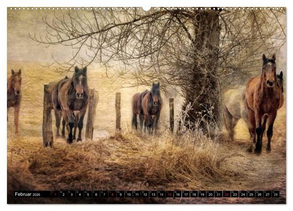 Produktbild: Western und Pferde (hochwertiger Premium Wandkalender 2026 DIN A2 quer), Kunstdruck in Hochglanz