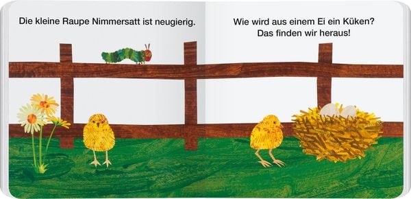 Produktbild: Vom Ei zum K&uuml;ken