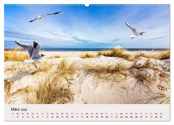 Produktbild: STRANDLUST: Fischland-Dar&szlig;-Zingst (hochwertiger Premium Wandkalender 2026 DIN A2 quer), Kunstdruck in Hochglanz