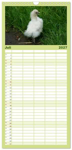 Produktbild: Familienplaner 2027 - Die Welt der H&uuml;hner mit 5 Spalten (Wandkalender, 21 x 45 cm) CALVENDO