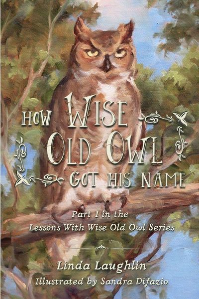 Produktbild: How Wise Old Owl Got His Name