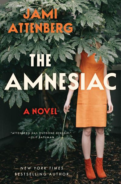 Produktbild: The Amnesiac