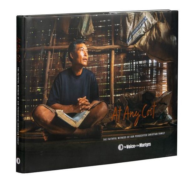 Produktbild: At Any Cost