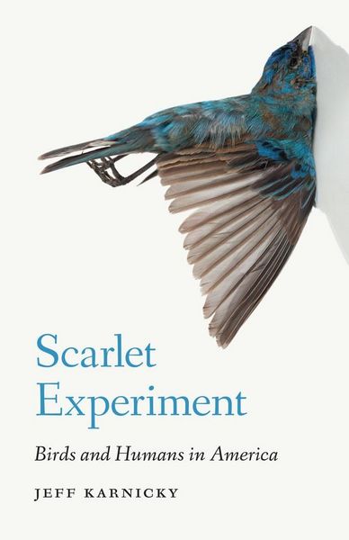 Produktbild: Scarlet Experiment