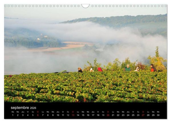 Produktbild: Picardie &eacute;motion (Calendrier mural 2026 DIN A3 vertical), CALVENDO calendrier mensuel