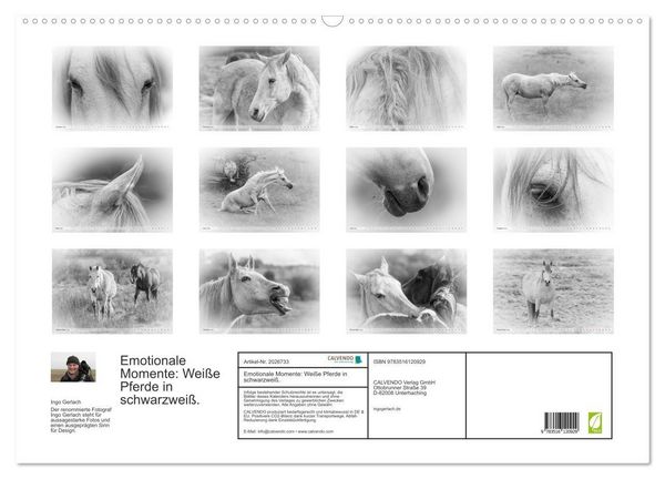 Produktbild: Emotionale Momente: Wei&szlig;e Pferde in schwarzwei&szlig;. (Wandkalender 2026 DIN A2 quer), CALVENDO Monatskalender