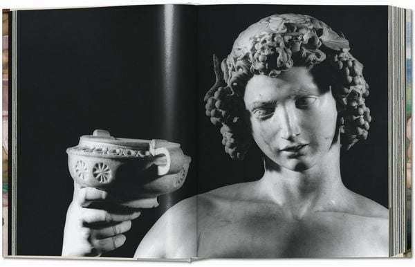 Produktbild: Michelangelo