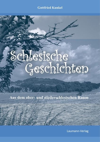 Produktbild: Schlesische Geschichten