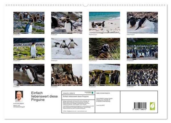 Produktbild: Einfach liebenswert diese Pinguine (hochwertiger Premium Wandkalender 2026 DIN A2 quer), Kunstdruck in Hochglanz