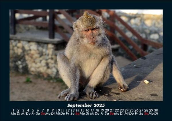 Produktbild: Indonesien 2025 Fotokalender DIN A5