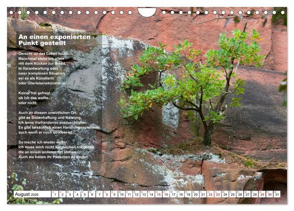 Produktbild: Stehen wie ein Baum (Wandkalender 2026 DIN A4 quer), CALVENDO Monatskalender