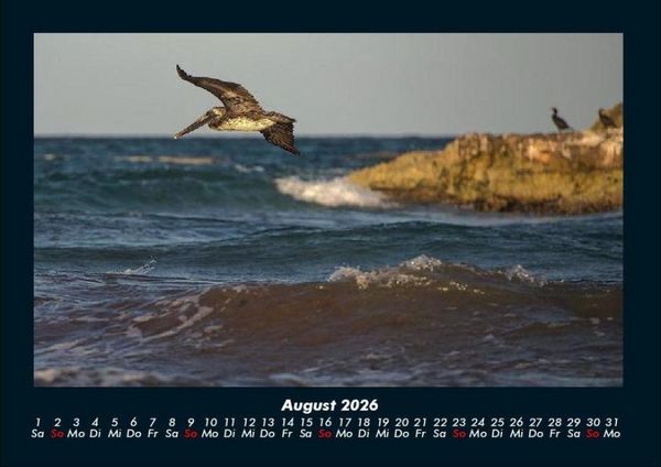 Produktbild: Meereslandschaft 2026 Fotokalender DIN A4